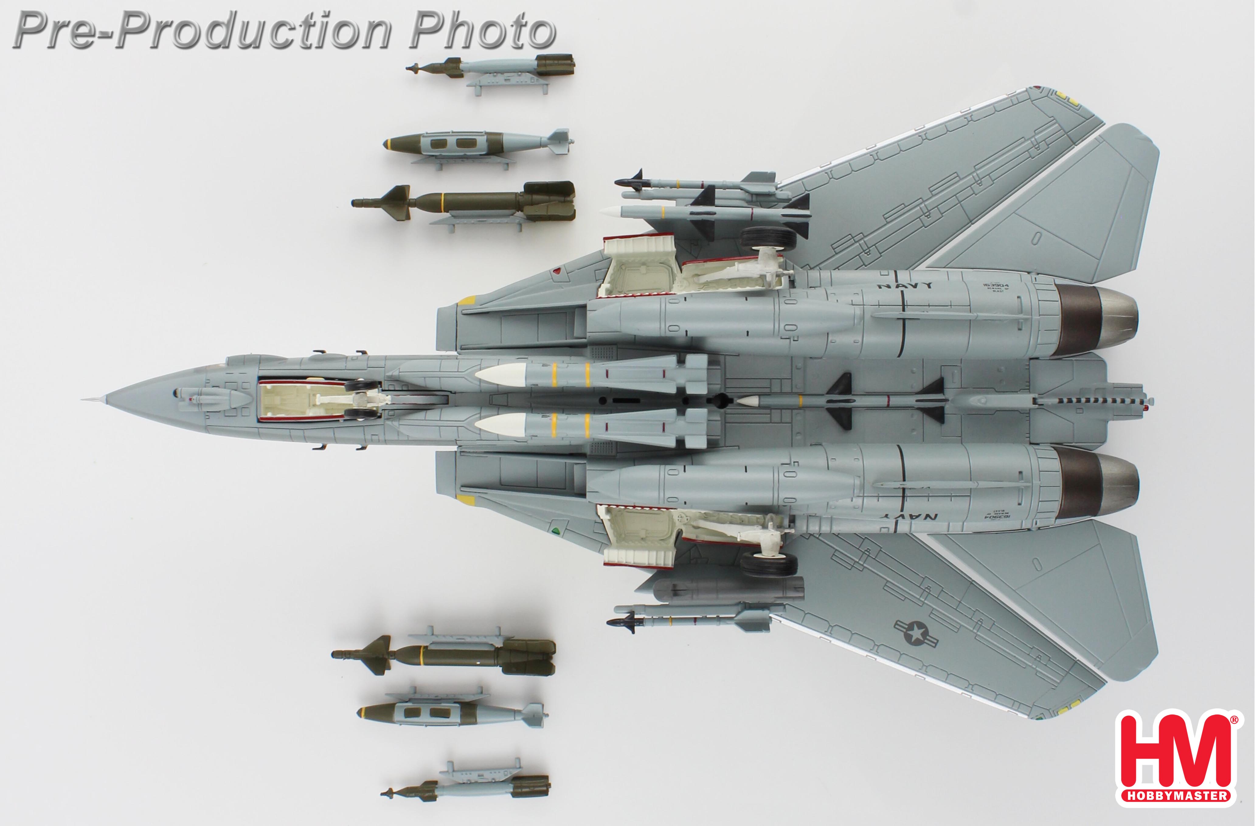 Grumman F-14D 